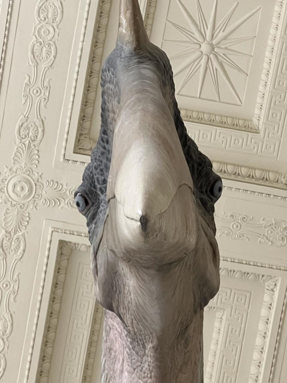 Close-up of a large bird sculpture with a detailed feather texture, set against an ornately decorated ceiling