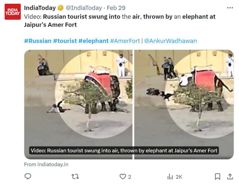 印度觀光景點大象抓狂，俄羅斯遊客受傷。（圖／翻攝自X）