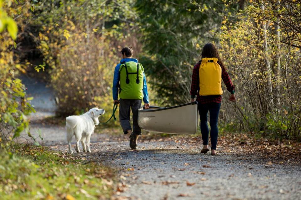 A trail in Bellingham.