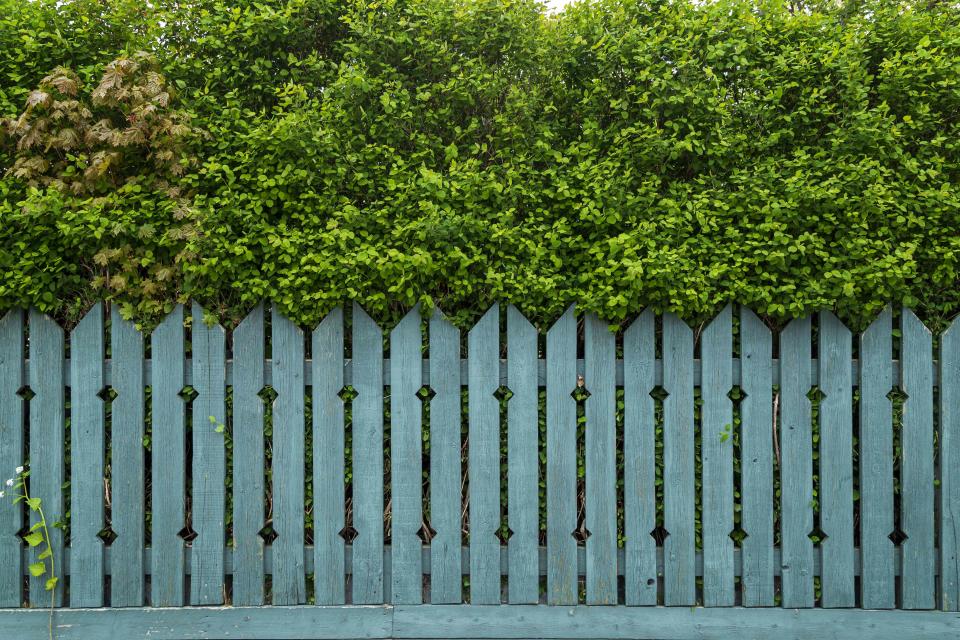 7 Pretty Fence Paint Color Ideas