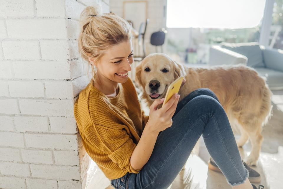 woman sitting and looking at phone with dog