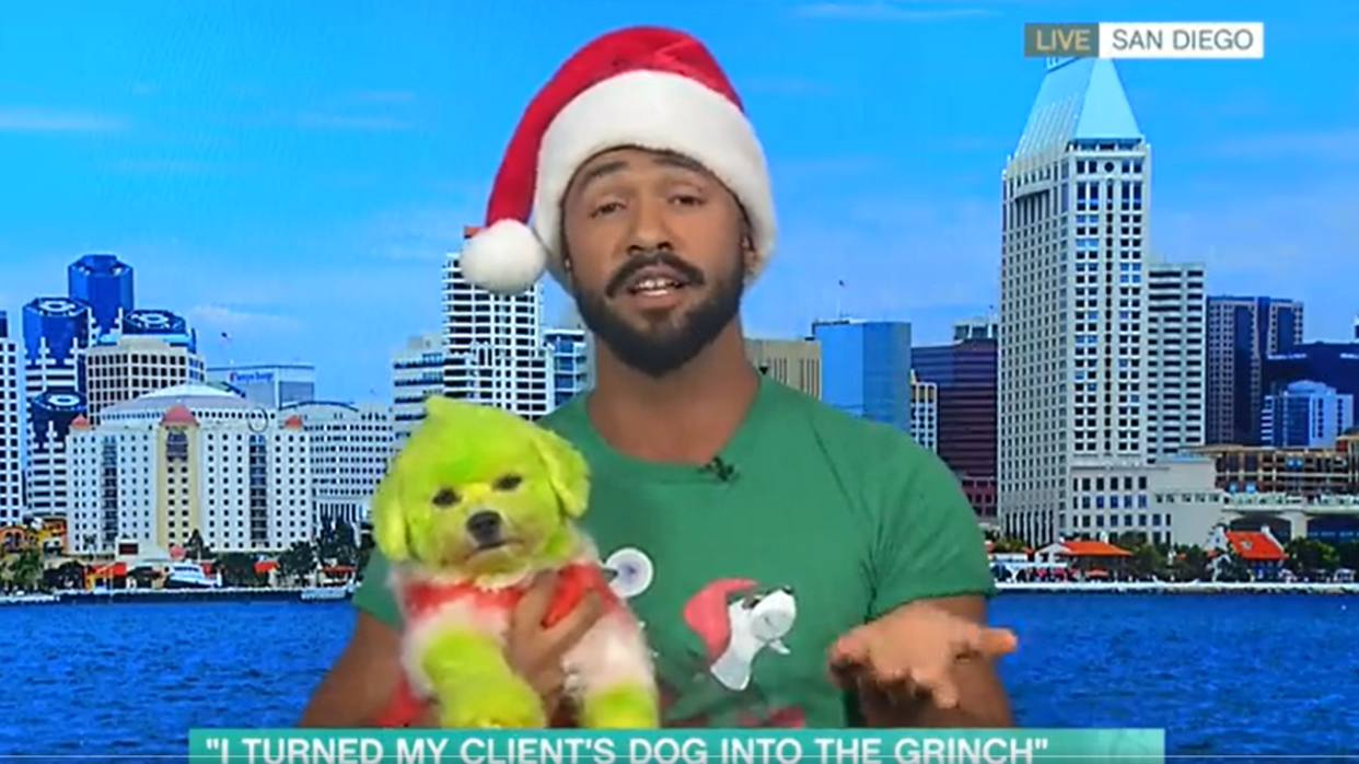 The dog had been dyed bright green. (ITV screengrab)