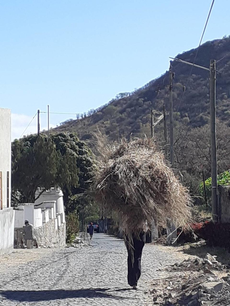 Escena callejera en Sao Jorge dos Orgaos.