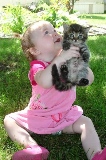 Kids and Kitties