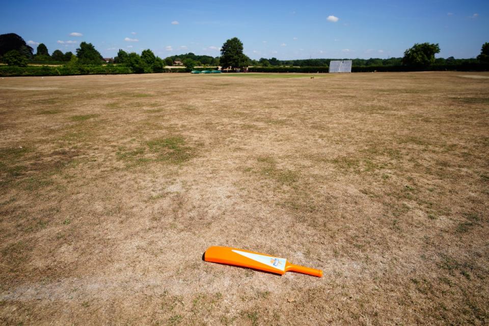 Parched grass at the cricket green in the village of Odiham in Hampshire (Ben Birchall/PA) (PA Wire)