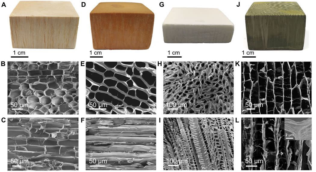 Comparación de la estructura de madera artificial (G) con otras maderas naturales | imagen Shu-Hong Yu, et al