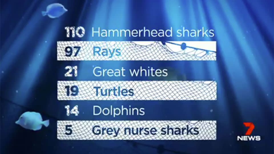 The animals on this list died after being caught in nets. Source: 7 News