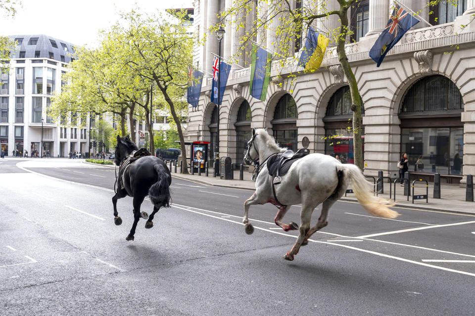 London Horse Incident (Jordan Pettitt / Press Association via AP)