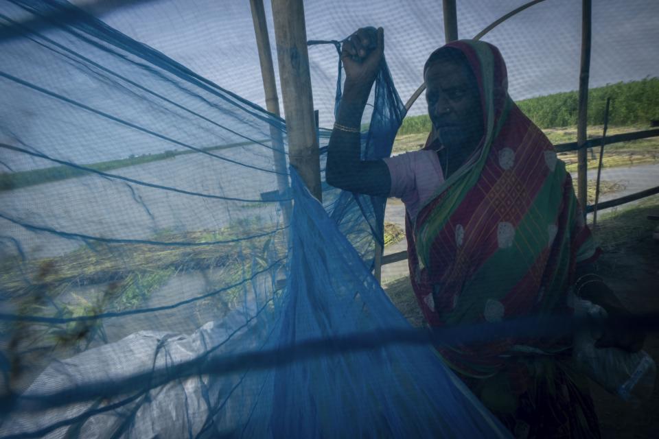 Monuwara Begum, 45, holds part of a mosquito net after reaching higher ground near the floodwaters in Sandahkhaiti, a floating island village in the Brahmaputra River in Morigaon district, Assam, India, Wednesday, Aug. 30, 2023. (AP Photo/Anupam Nath)