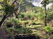 <p>The rustic lodge is a great way to experience the rainforest, with its 300 orchid species and plenty other flora and fauna to find on nature hikes among the trees — or even while staying on the property! (Airbnb) </p>