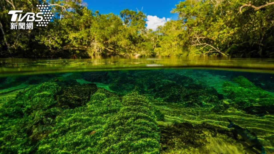 巴西蟒蛇溪水質清澈。（示意圖／shutterstock 達志影像）
