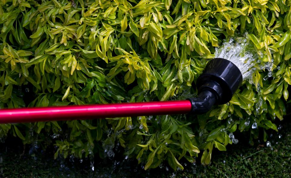 By watering early in the morning and saturating the root zone, you can ensure that the soil has enough water in it to supply the water needs of your plants throughout the day.
