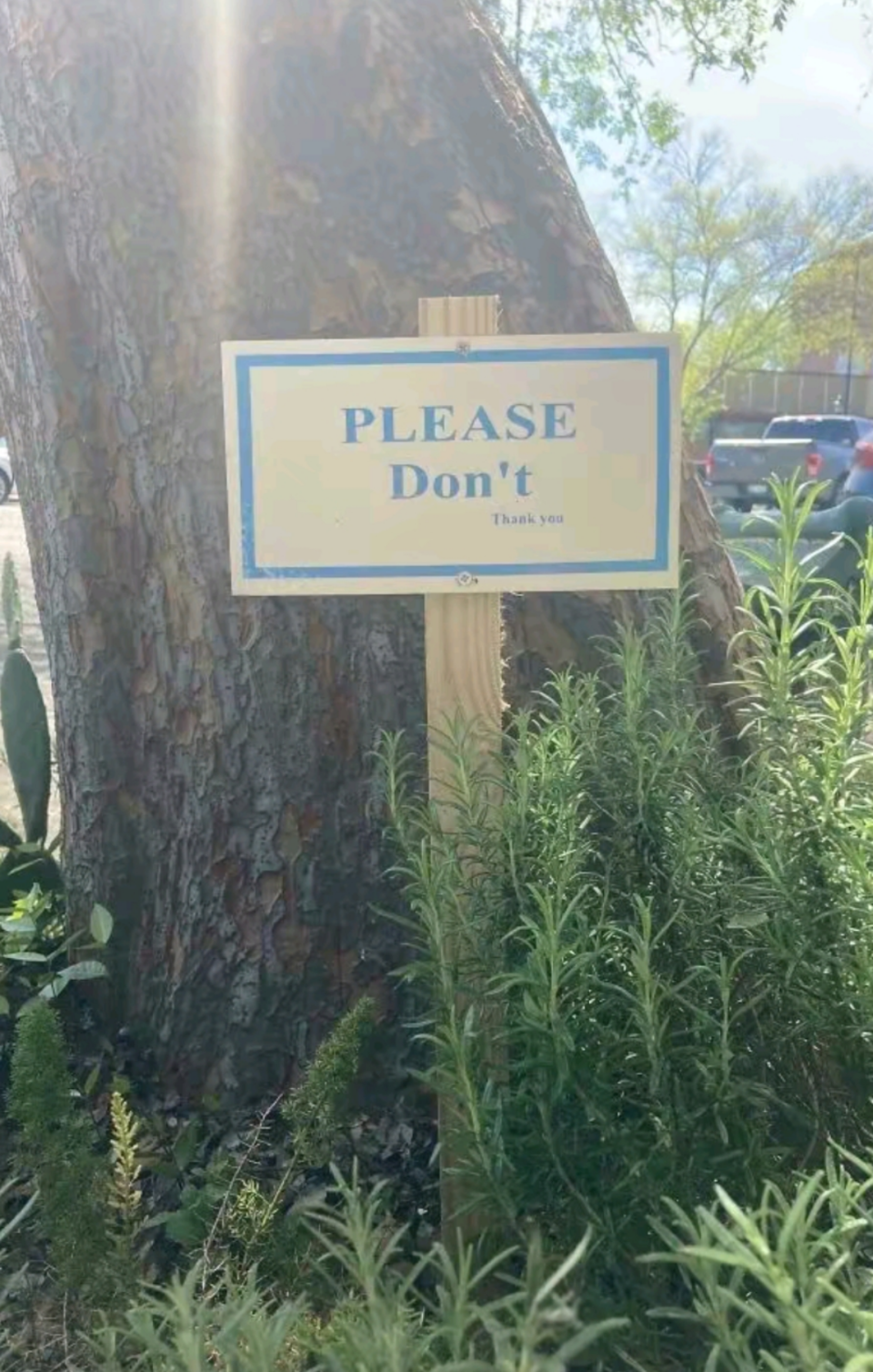 sign on a tree that reads, please don't, thank you