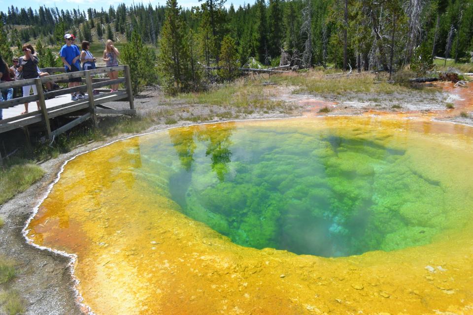 Morning Glory Pool at Yellowstone National Park