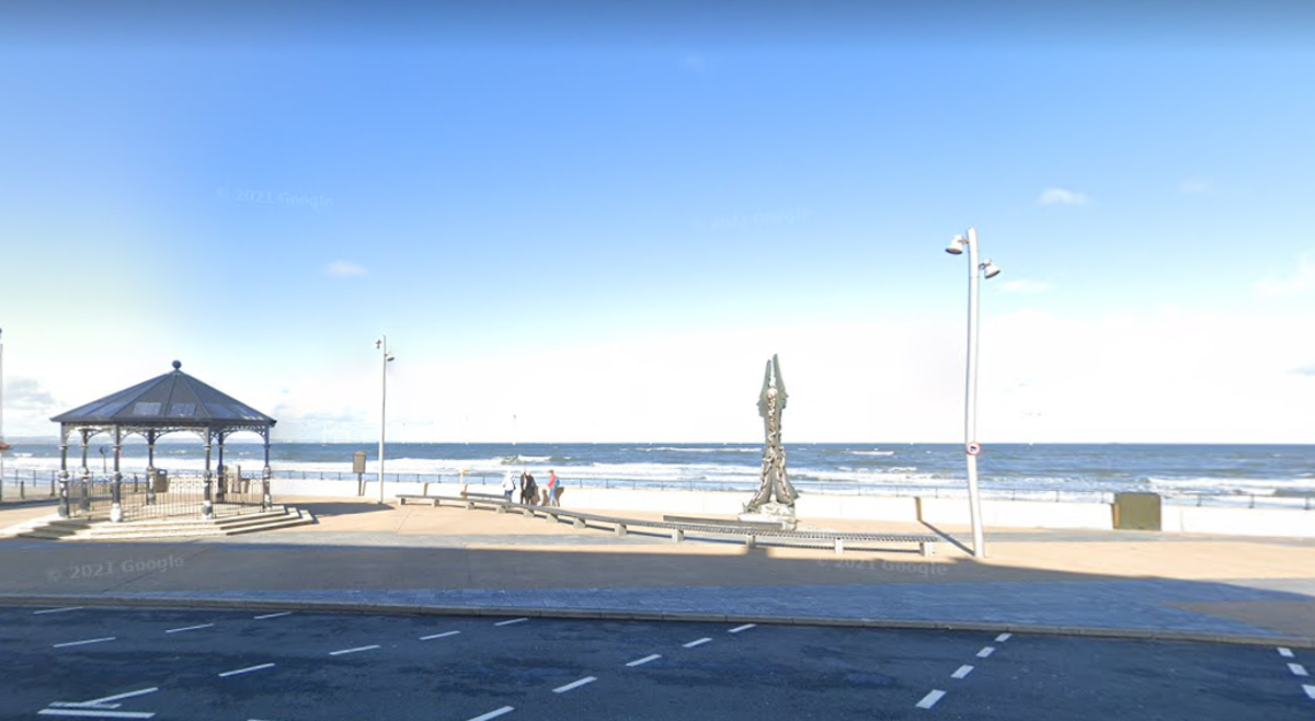 The alleged dog attack happened on Redcar beach (Google Maps)
