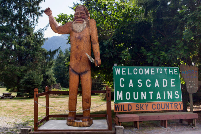 The Evergreen State racked up the most &quot;credible&quot; Bigfoot sightings at 537 and is the setting of both &lt;em&gt;Harry and the Hendersons&lt;/em&gt; and the Sasquatch Music Festival.