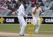 Australia's Ryan Harris (R) celebrates after taking the wicket of England's Graeme Swann during the fifth day's play in the second Ashes cricket test at the Adelaide Oval December 9, 2013. REUTERS/David Gray (AUSTRALIA - Tags: SPORT CRICKET)