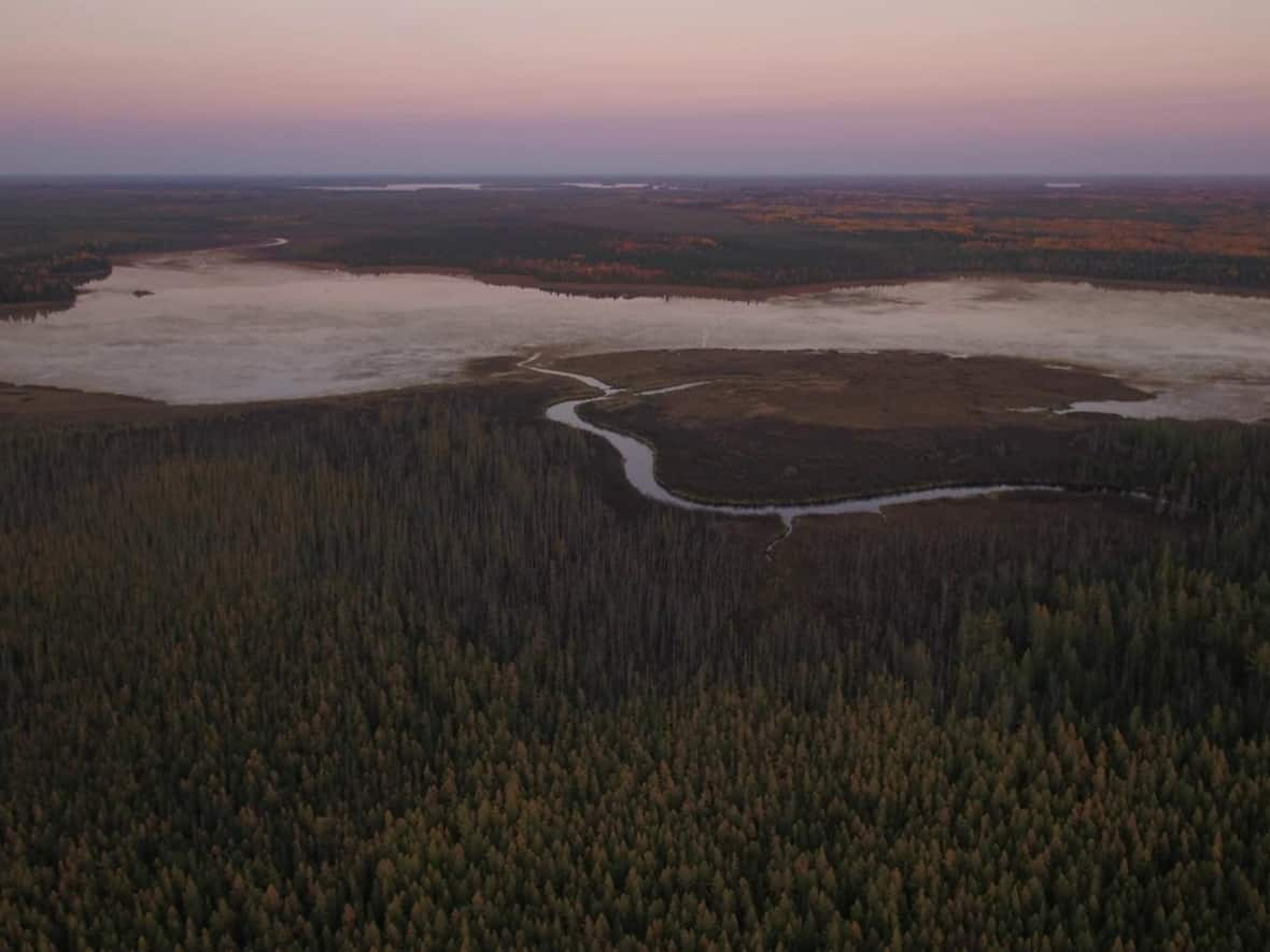 A view of the James Bay lowlands in northern Ontario. A new study has found the region to have some of the most carbon-rich soils in Canada. (Casa Di Media Productions/WWF-Canada - image credit)