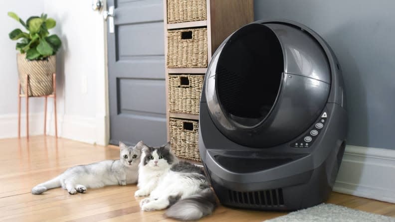 The Litter-Robot is expensive, but you'll never have to scoop poop again.