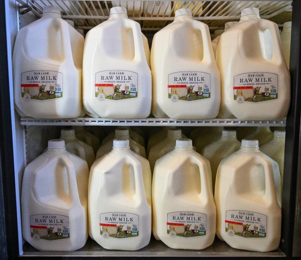 Gallons of raw milk are displayed in a refrigerator at the Raw Farm USA dairy store in Fresno County on Friday, June 14, 2024.