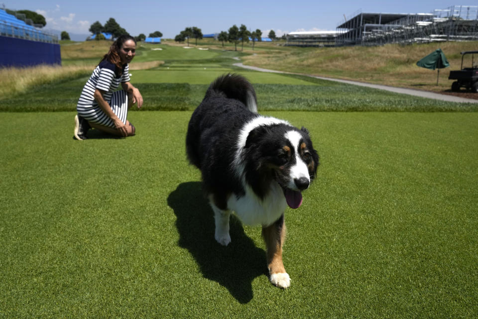 Lara Arias, a rare female golf course superintendent, looks at her Australian Shepard "Ryder" during an interview with the Associated Press, at the Marco Simone Club in Guidonia Montecelio, Italy, Tuesday, July 11, 2023. When Lara Arias started her job as course superintendent at the Marco Simone golf club outside Rome that will host the Ryder Cup from Sept. 29 to Oct.1 there was hardly any grass to manicure, no bunkers to rake and nary a green to shape, the entire course was practically one big pile of dirt amid a complete restyling. (AP Photo/Alessandra Tarantino)