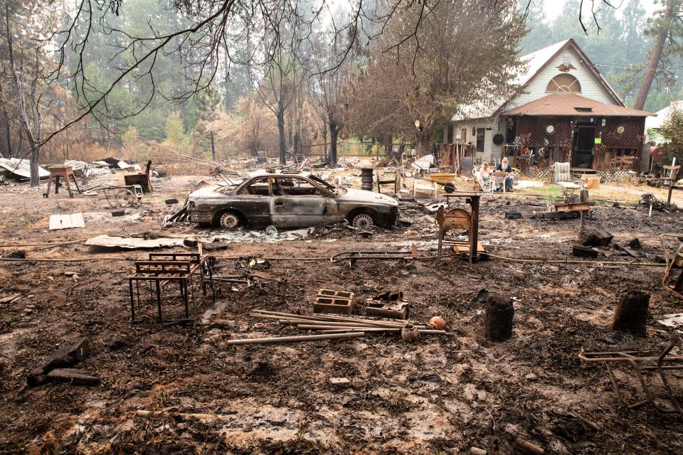A garden in the aftermath of a fire  at Greenville, CA, Aug. 20, 2021. Benjamin Chambers/The Republic