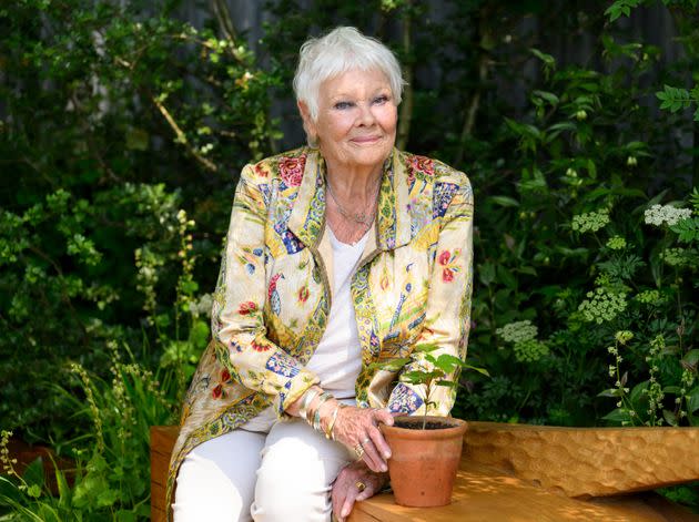 Dame Judi Dench attends The RHS Chelsea Flower Show in London on May 20, 2024. Dench told reporters she isn't acting right now because of her sight, but didn't outright announce she's retiring.