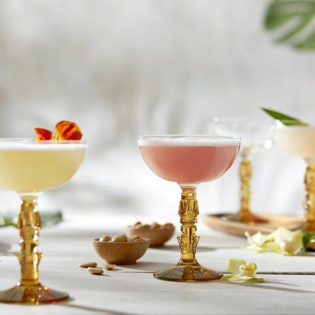 Fortessa Shatterproof Tritan Outdoor Margarita Glasses, Set of 6, Exclusive  on Food52