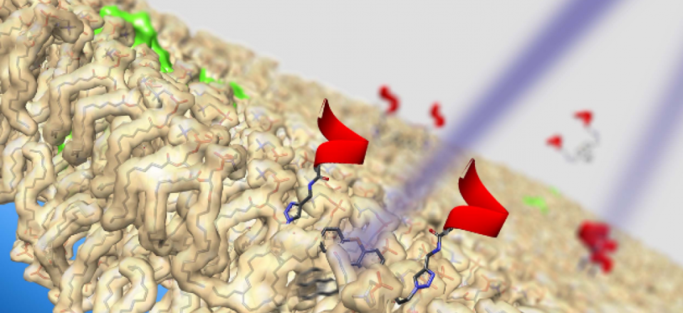 Des nanomachines capables de détruire des cellules cancéreuses