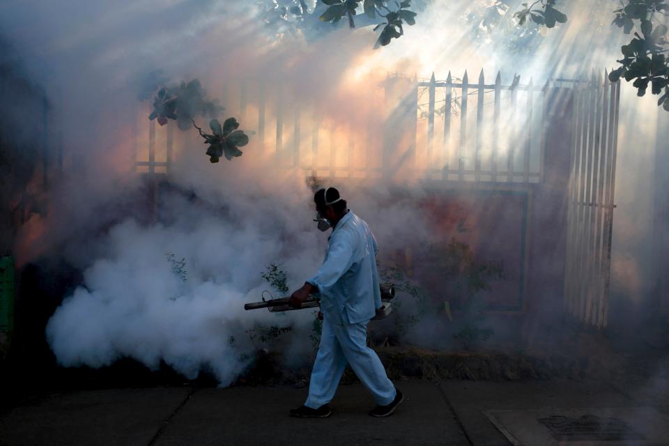 A health ministry worker fumigates a house to kill mosquitoes during a campaign against dengue and chikungunya and to prevent the entry of Zika virus in Managua, Nicaragua January 26, 2016. (Oswaldo Rivas/Reuters)