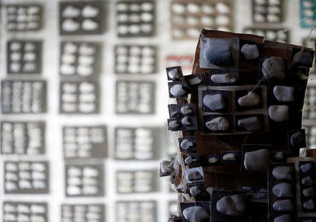 Stones collected by Luigi Lineri are seen at his home workshop in Zevio, near Verona, Italy, June 10, 2016. REUTERS/Alessandro Bianchi