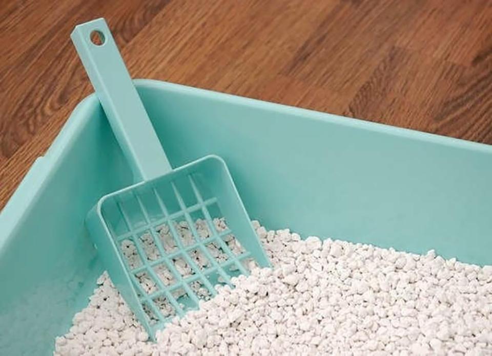 Winter Emergency Supplies Option Kitty Litter