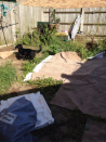 <p>Taking the 10th spot in the competition is this garden renovation project from Sharon in Northampton.</p><p>'The garden was overgrown and becoming like the local tip,' says Sharon. 'I was desperate for some flowers and to stop the mud from being brought in by the dogs when it rained.'</p>