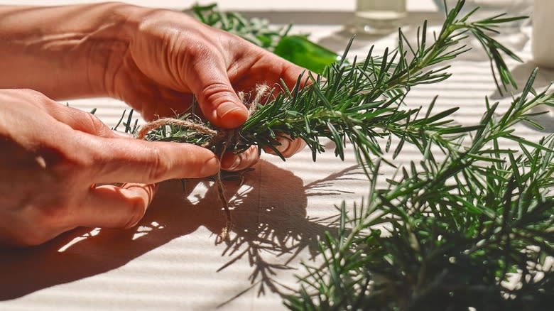 Person preparing fresh rosemary