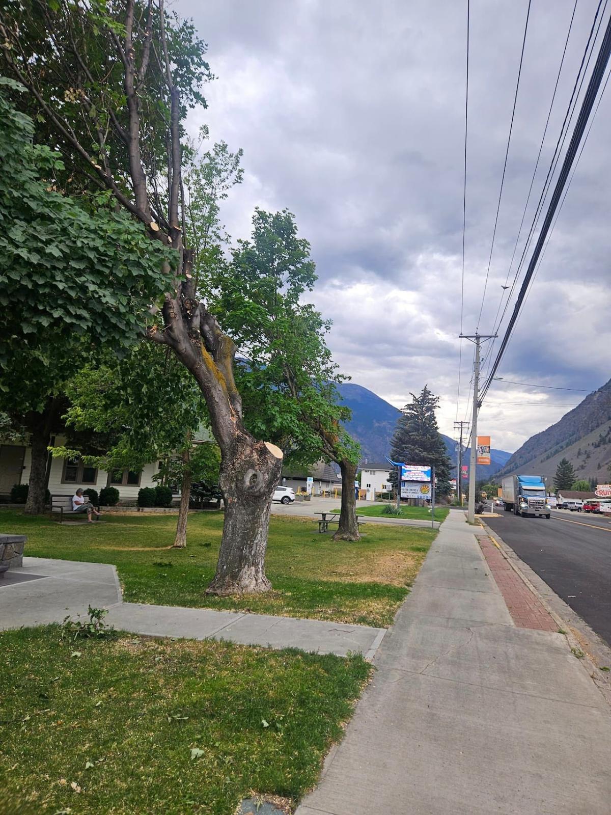 British Columbia residents frustrated by FortisBC’s ‘devastating’ tree trimming