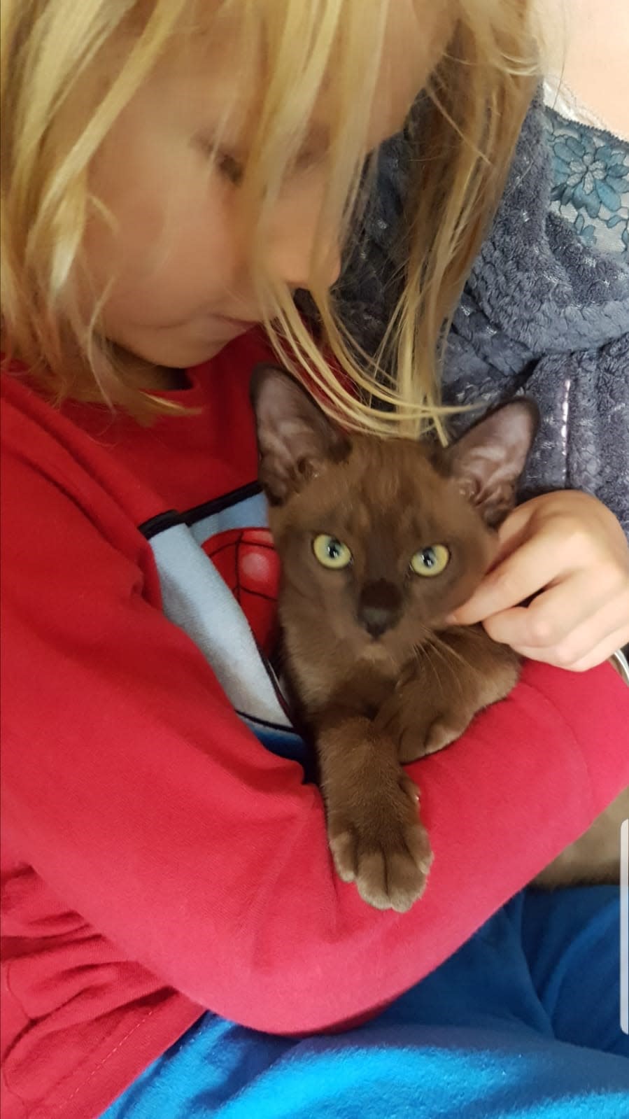 The family managed to get to Pontefract to collect Joey’s kitten (John Barlow/PA)