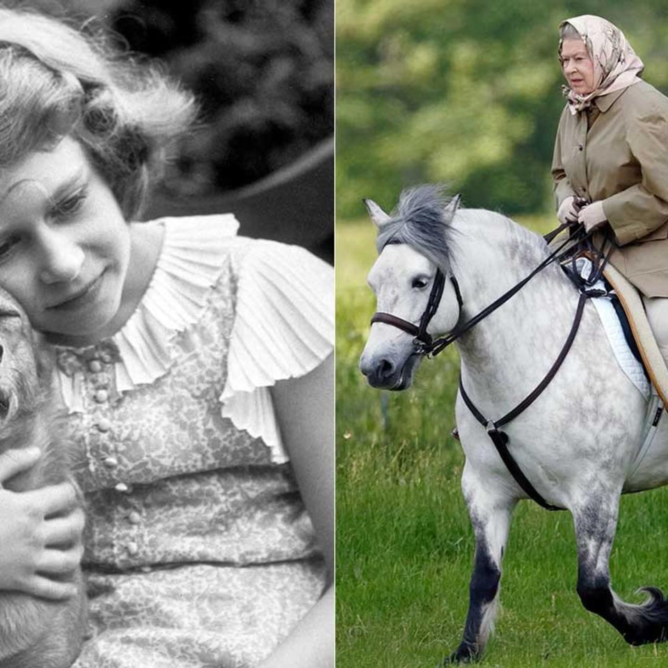 The Queen's passion for animals: her lifelong love affair with Corgis and horses