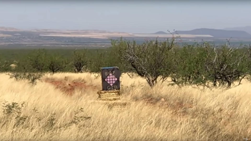 A gender reveal in Arizona caused the Sawmill forest fire at Coronado National Forest in Arizona. Source: US Forest Service