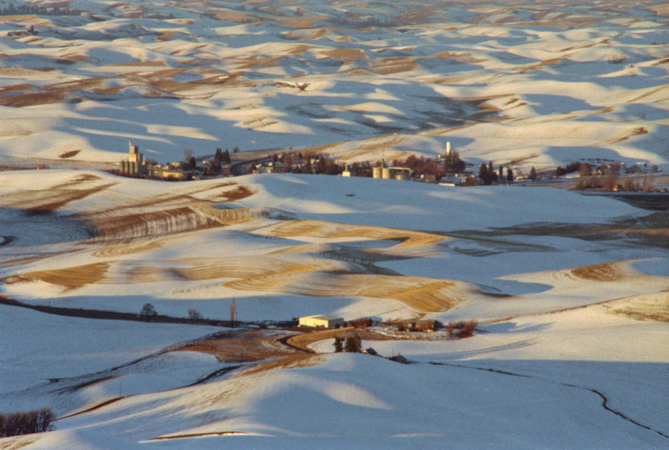 Whitman County, Washington