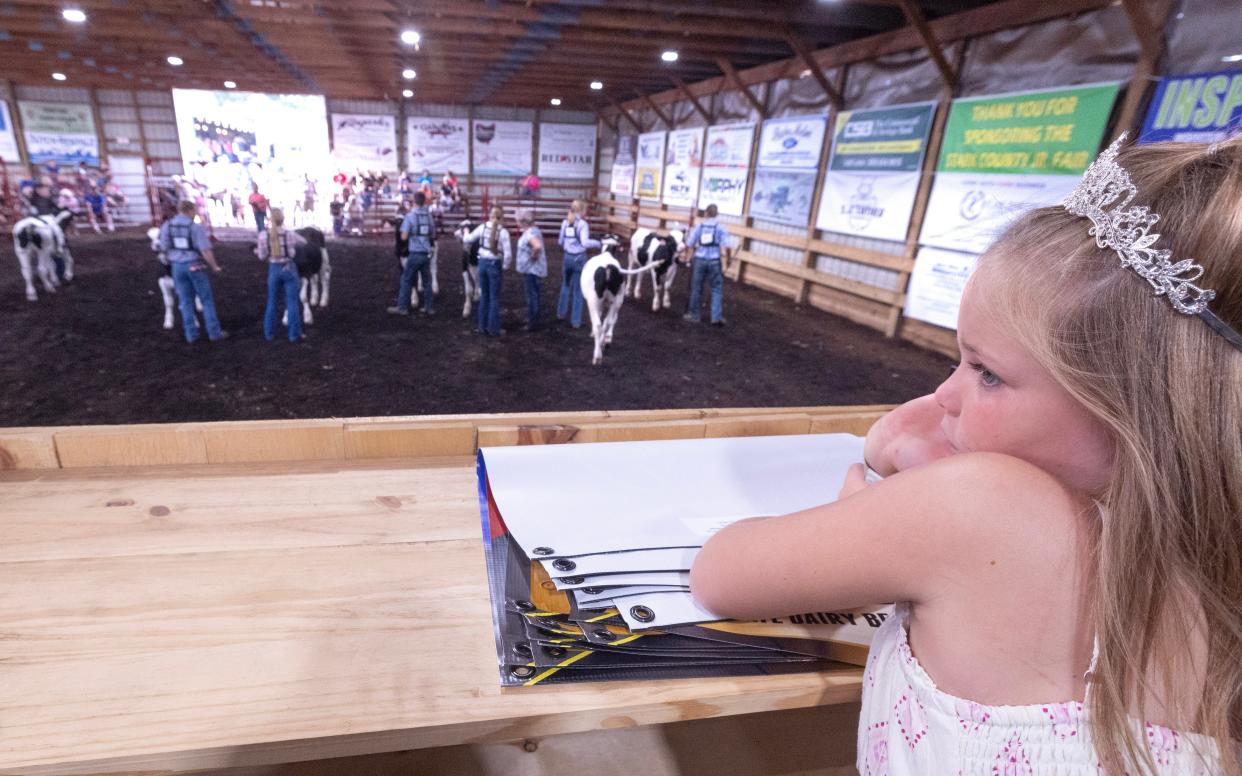 Kylee Miller,7, of Marlboro Township watches the judging of the Stark Jr. Showmen Dairy Beef Feeder division at the opening day of the 2024 Stark County Fair on Tuesday.