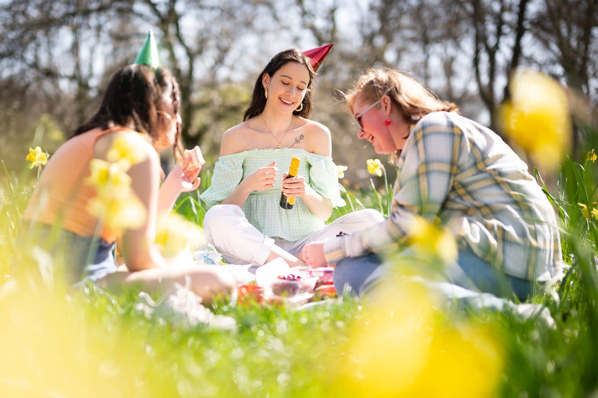 Friends enjoy a picnic (Getty Images)