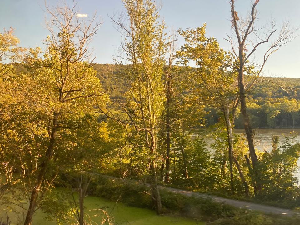 trees and water through the window on capitol limtied train