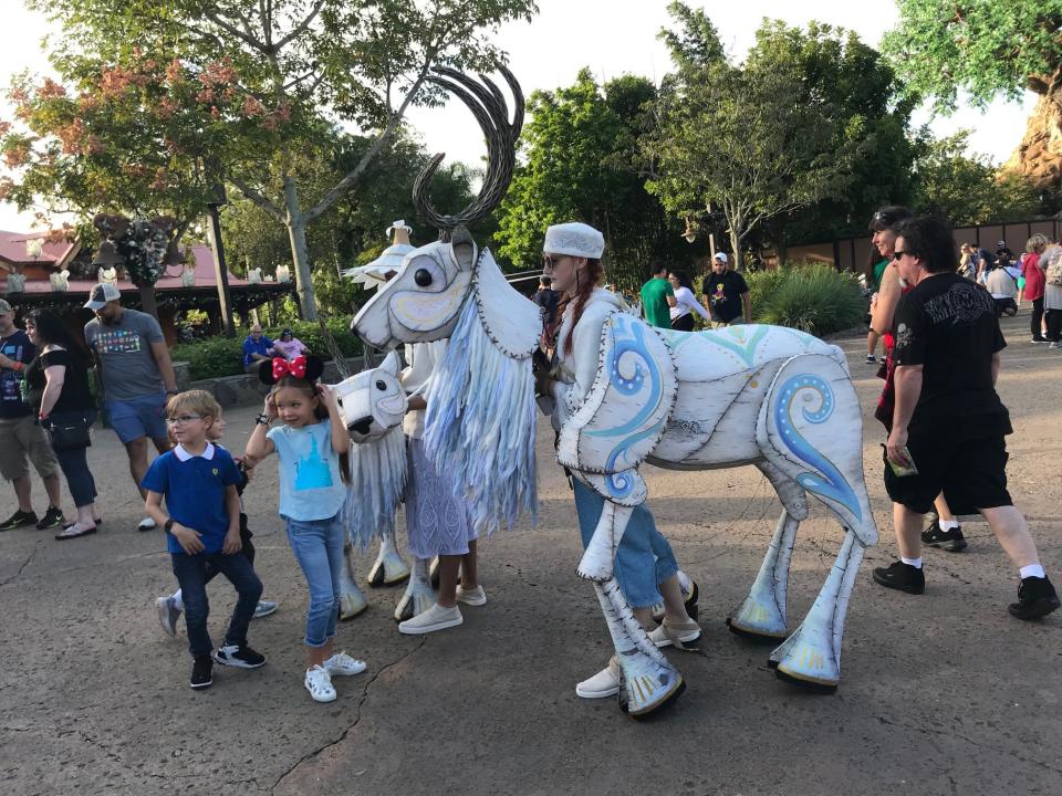 If you've never met a reindeer, life-size, animated ones are likely to show up Walt Disney World's Animal Kingdom this holiday season.