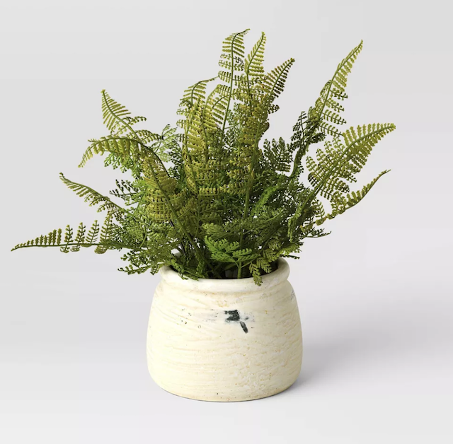 Artificial Small Fern in Cement Pot Green