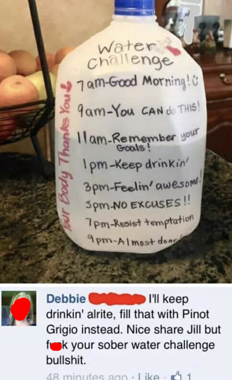 person named debbie commenting on a picture of a water gallon challenge i'll keep drinking alrite fill that with pinot grigio instead fuck your sober water challenge bullshit