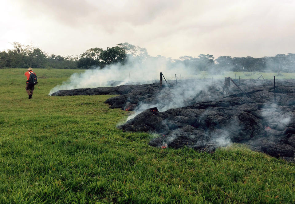 This Oct. 26, 2014 photo provided by the U.S. Geological Survey a Hawaii Volcano Observatory geologist mapping the margin of the June 27 lava flow in the open field below Cemetery Road near the town of Pahoa on the Big Island of Hawaii. Dozens of residents in this rural area of Hawaii were placed on alert as flowing lava continued to advance. Authorities on Sunday, Oct. 26, 2014 said lava had advanced about 250 yards since Saturday morning and was moving at the rate of about 10 to 15 yards an hour, consistent with its advancement in recent days. The flow front passed through a predominantly Buddhist cemetery, covering grave sites in the mostly rural region of Puna, and was roughly a half-mile from Pahoa Village Road, the main street of Pahoa. (AP Photo/U.S. Geological Survey)