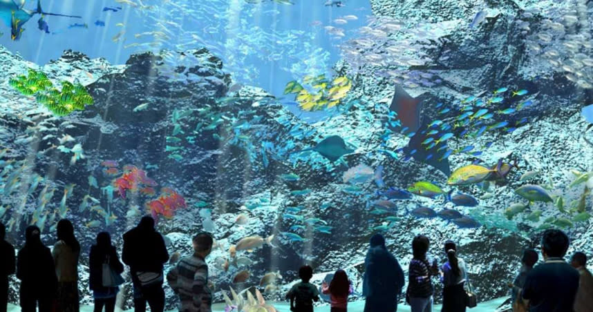 「福爾摩沙」展區以台灣海峽、巴士海峽、太平洋及東海包圍的台灣豐富魚種生態為主題。（圖／翻攝自Xpark官網）