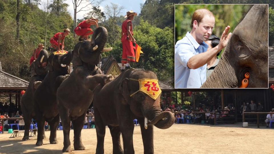 Embarrassment For Prince At Elephant Sanctuary