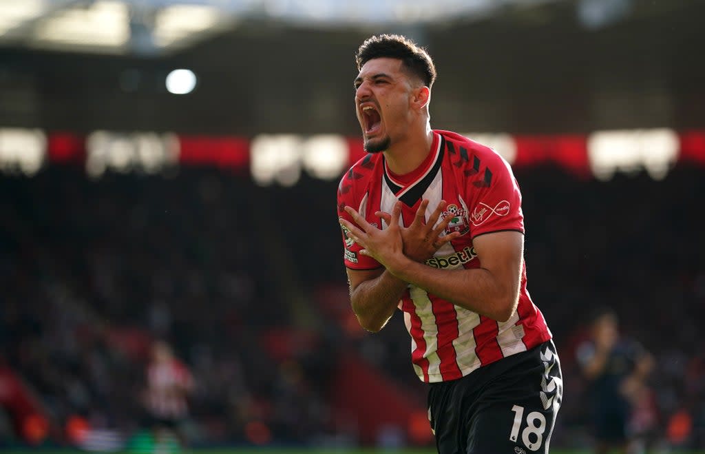 Armando Broja has scored five Premier League goals for Southampton (Adam Davy/PA) (PA Wire)