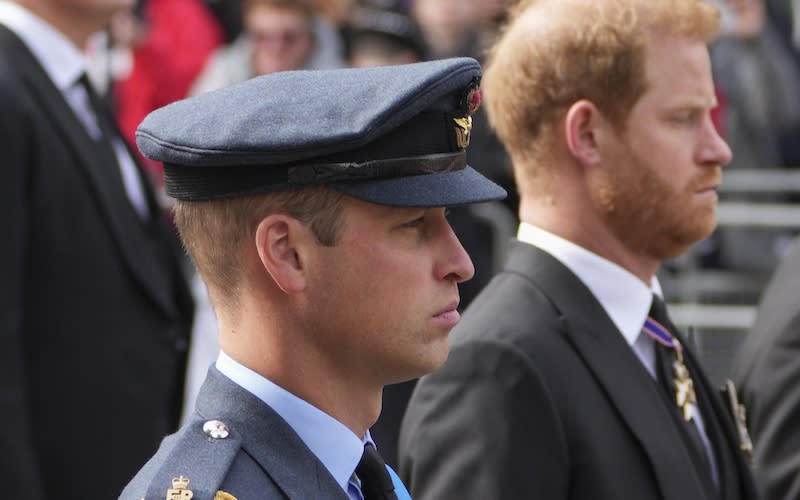 Prince William and Prince Harry follow the coffin of Queen Elizabeth II as it is pulled on a gun carriage through the streets of London following her funeral service.